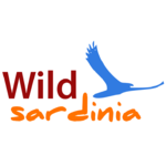 Marco Dessì - Wild Sardinia